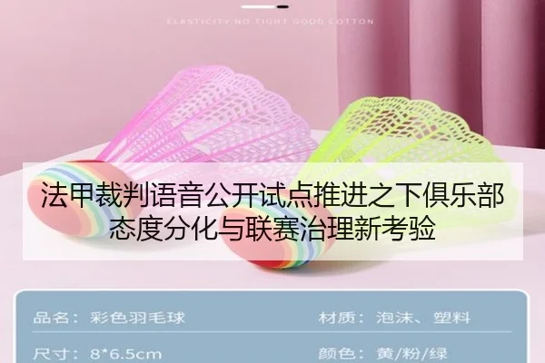 法甲裁判语音公开试点推进之下俱乐部态度分化与联赛治理新考验