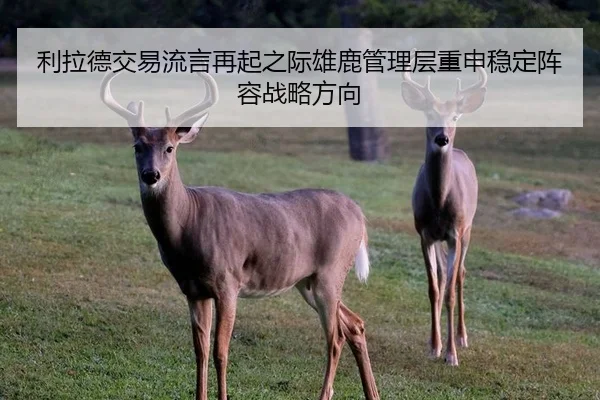 利拉德交易流言再起之际雄鹿管理层重申稳定阵容战略方向